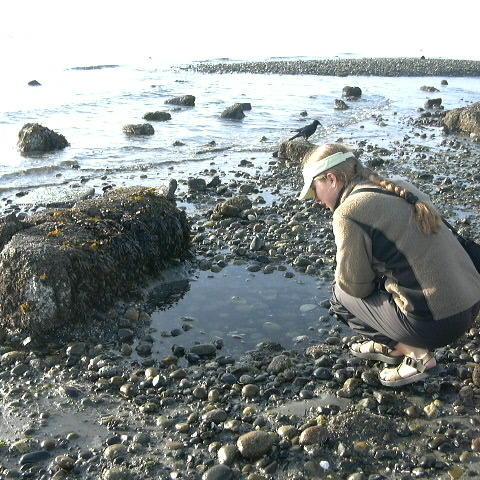 Woman looking in puddle